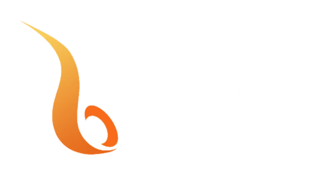 Saxofonist Saxojoe | Official website